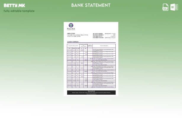 модерен стил Пакистан Meezan банка извод шаблон ексел